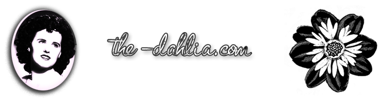 Welcome to The Dahlia.com Home to Misstery Date Pin Up Art